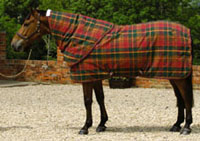 Checked stable rug 1106