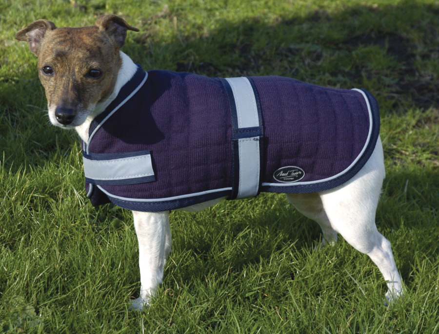 Dog Rug 1515l Dog Rug 1515l