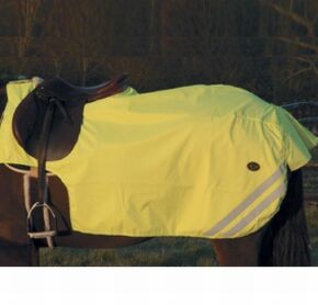 Fluorescent exercise sheet