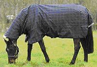 Heavyweight-Turnout-rug-200