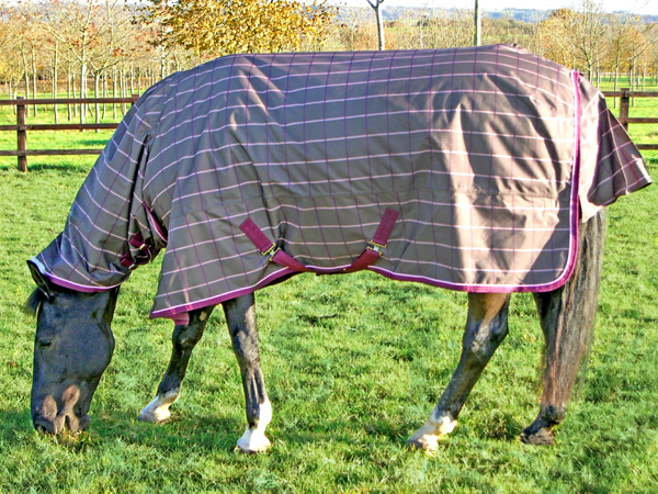 MArk Todd Lightweight Combo Turnout rug02